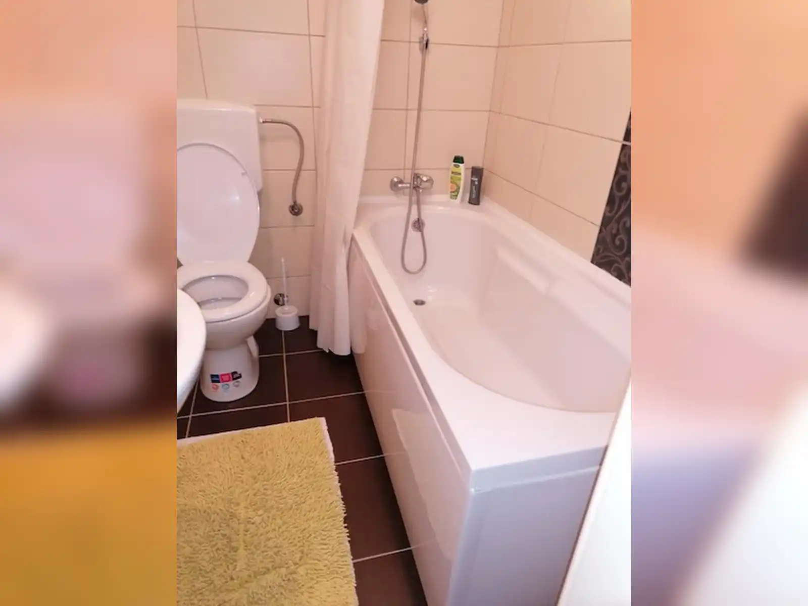 apartman-river-milica