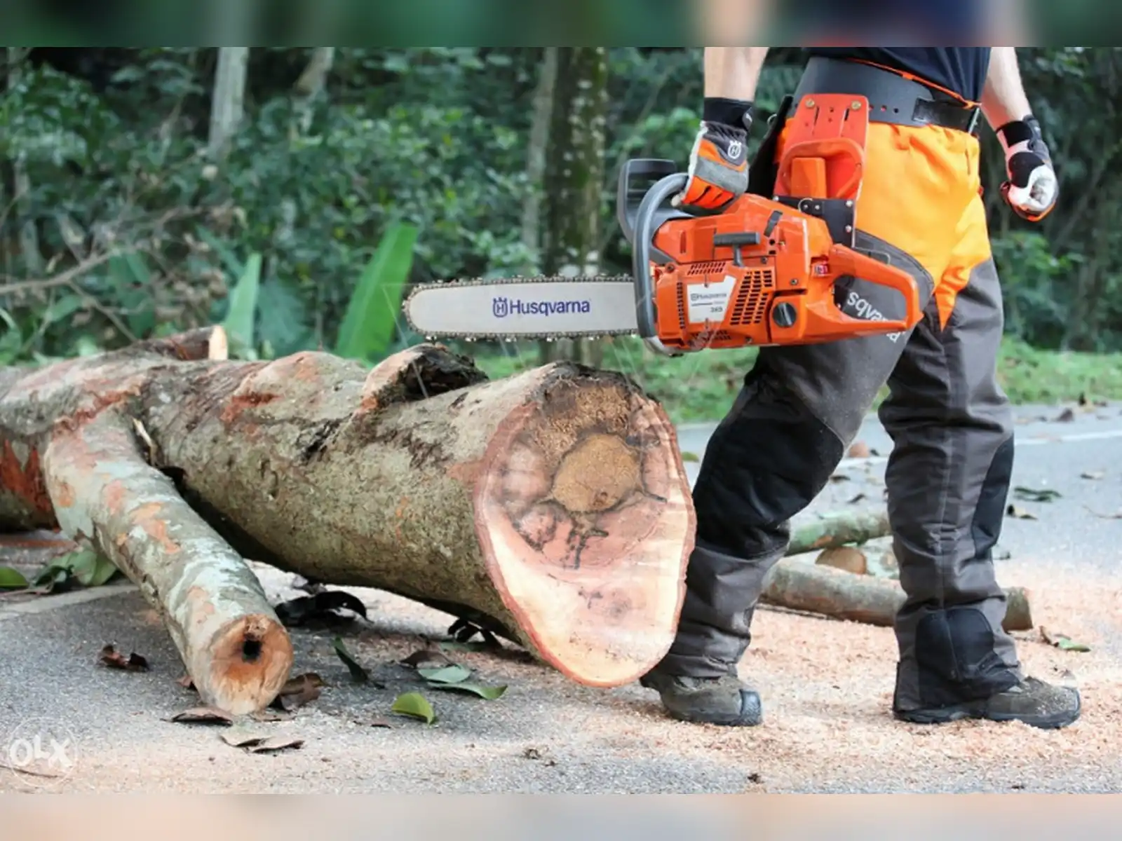 husqvarna-365-special-motorna-pila-testera-motorka-zaga