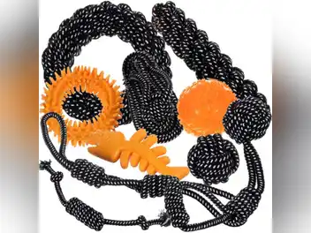 Set igračaka za pse - 10 komada Purlov 24388