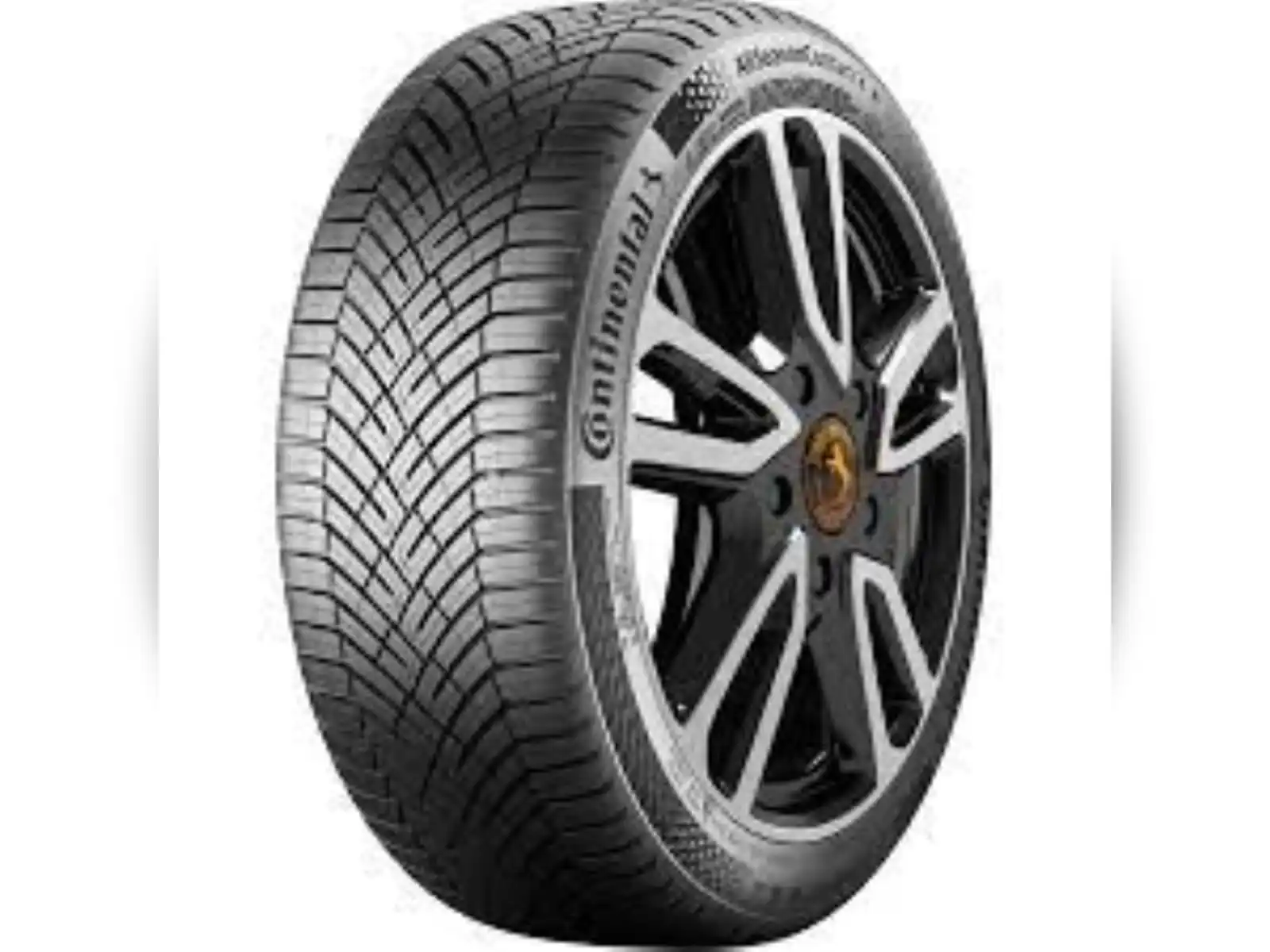 guma-g22555r17-101v-xl-allseasoncontact-2-continental-evc