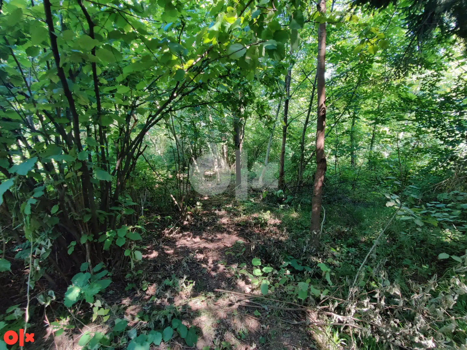zemljiste-banja-luka-trla