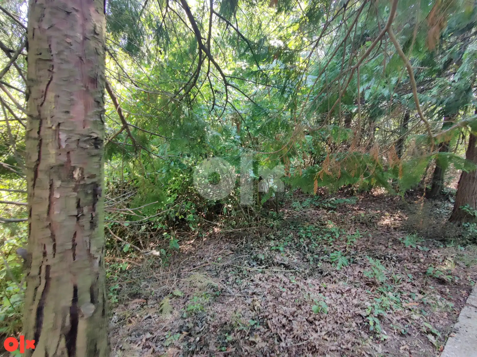 zemljiste-banja-luka-trla