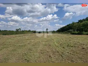 Zemljište Bistrica-16000 m2
