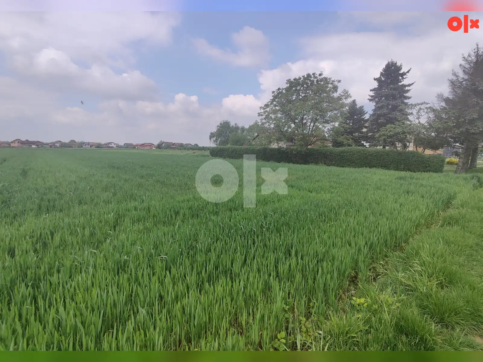 zemljiste-gradiska-nova-topola-agroindustrijska-zona