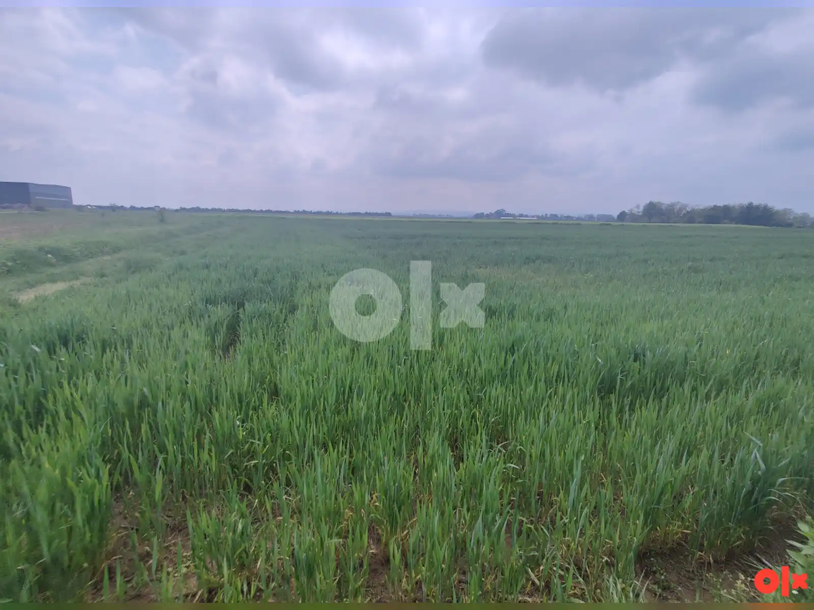 zemljiste-gradiska-nova-topola-agroindustrijska-zona