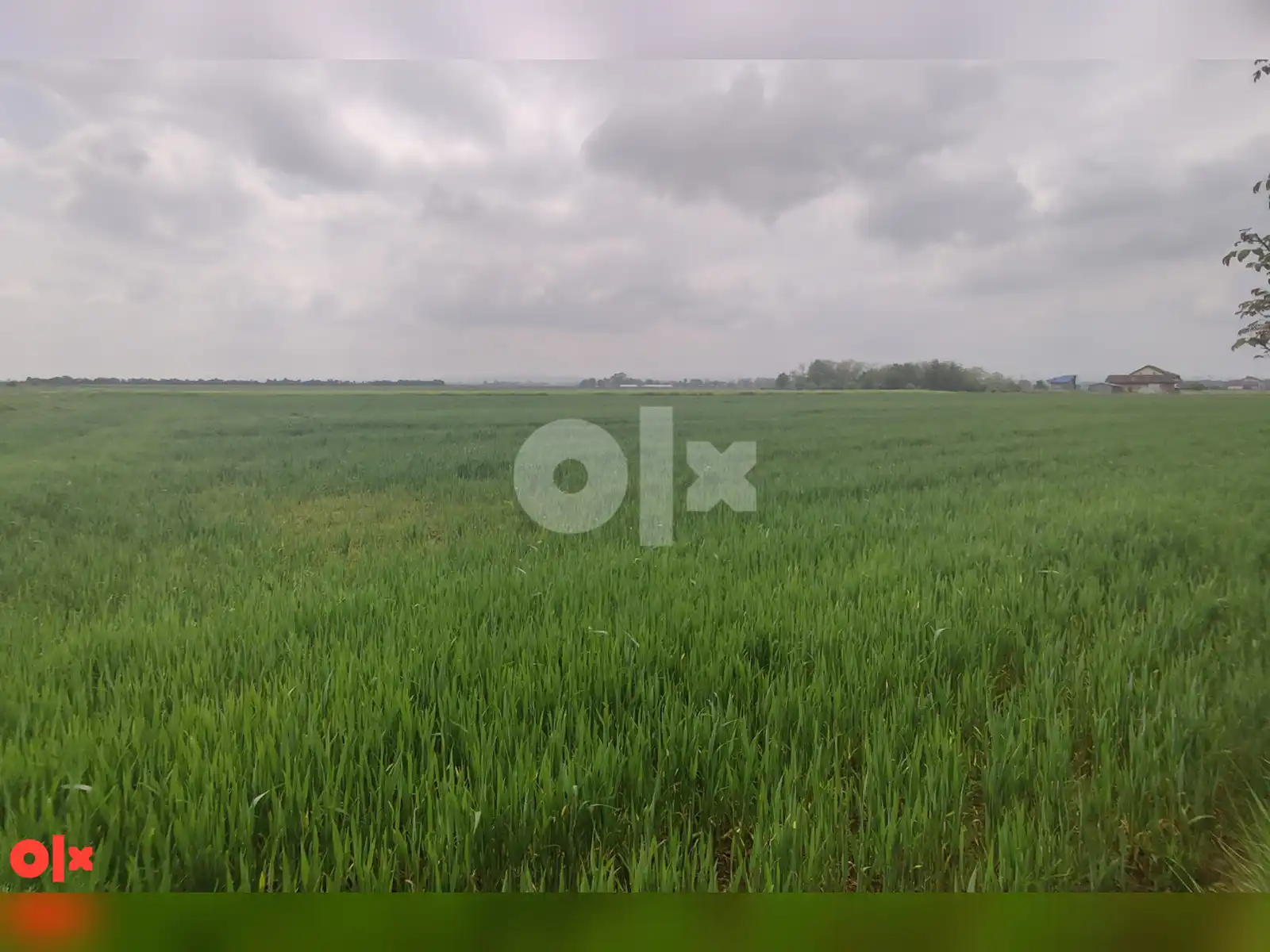 zemljiste-gradiska-nova-topola-agroindustrijska-zona