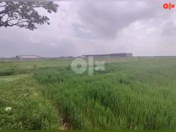 Zemljište Gradiška, Nova Topola, Agroindustrijska zona
