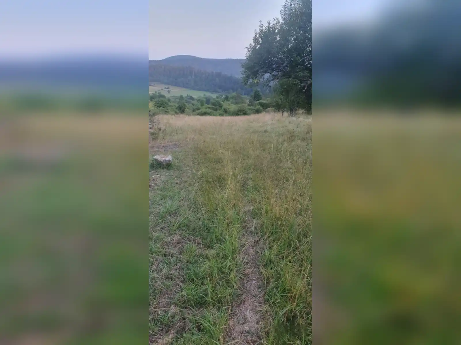 zemljiste-sokolac-donja-babine-kuca-i-imanje-69409m2