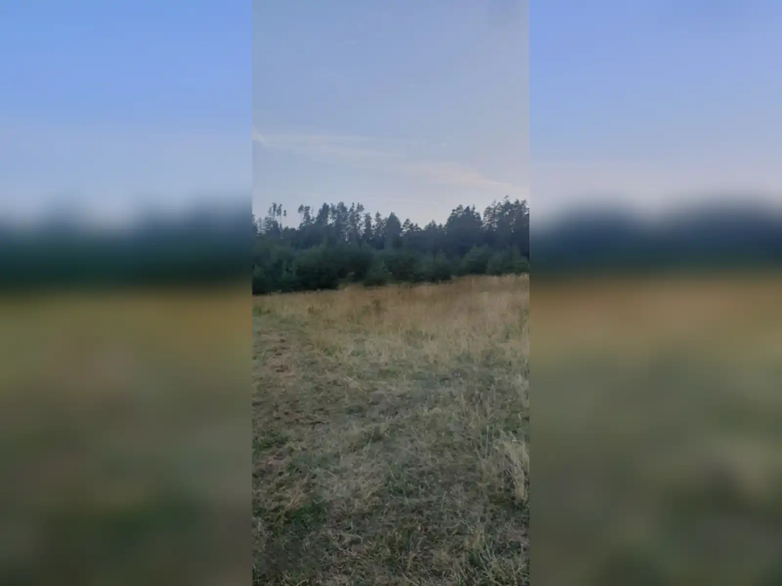 zemljiste-sokolac-donja-babine-kuca-i-imanje-69409m2