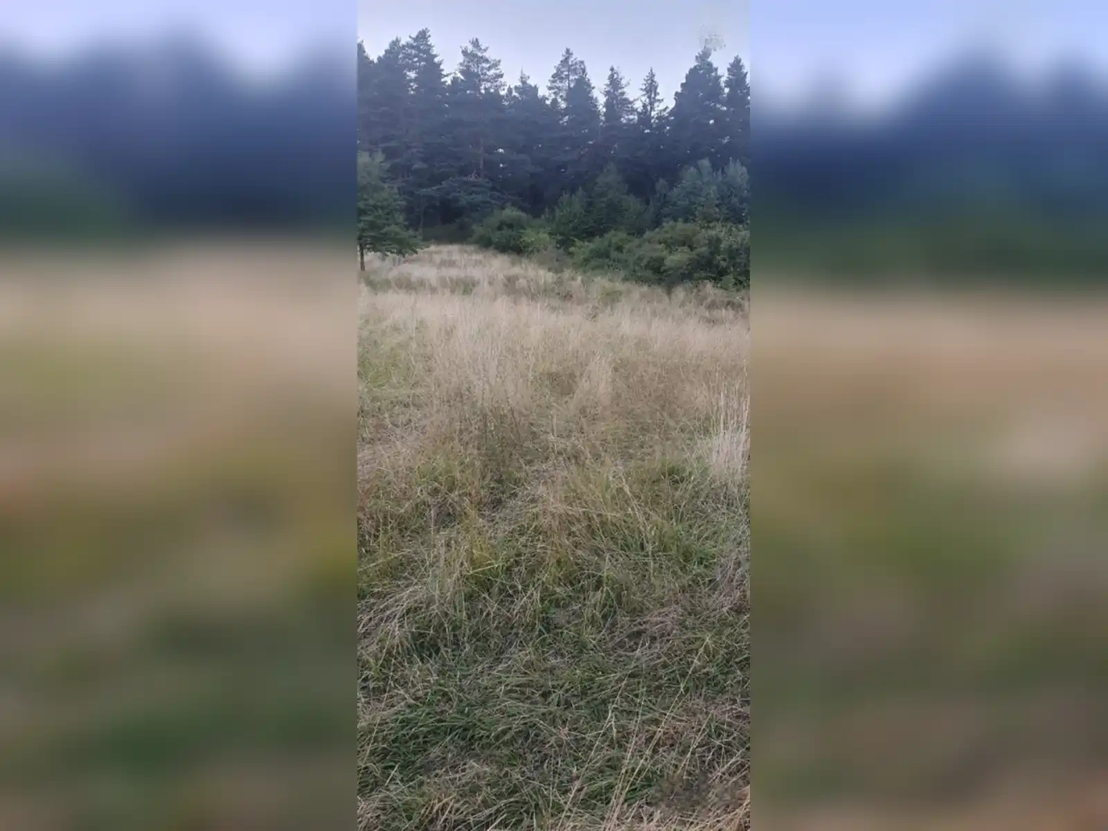 zemljiste-sokolac-donja-babine-kuca-i-imanje-69409m2