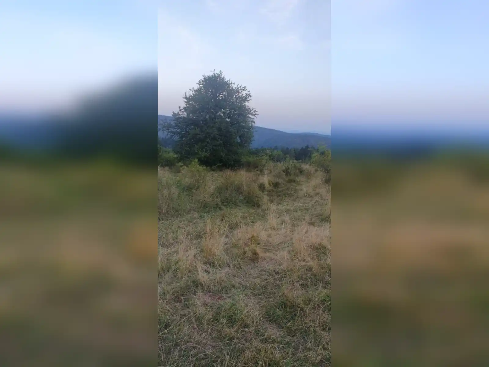 zemljiste-sokolac-donja-babine-kuca-i-imanje-69409m2