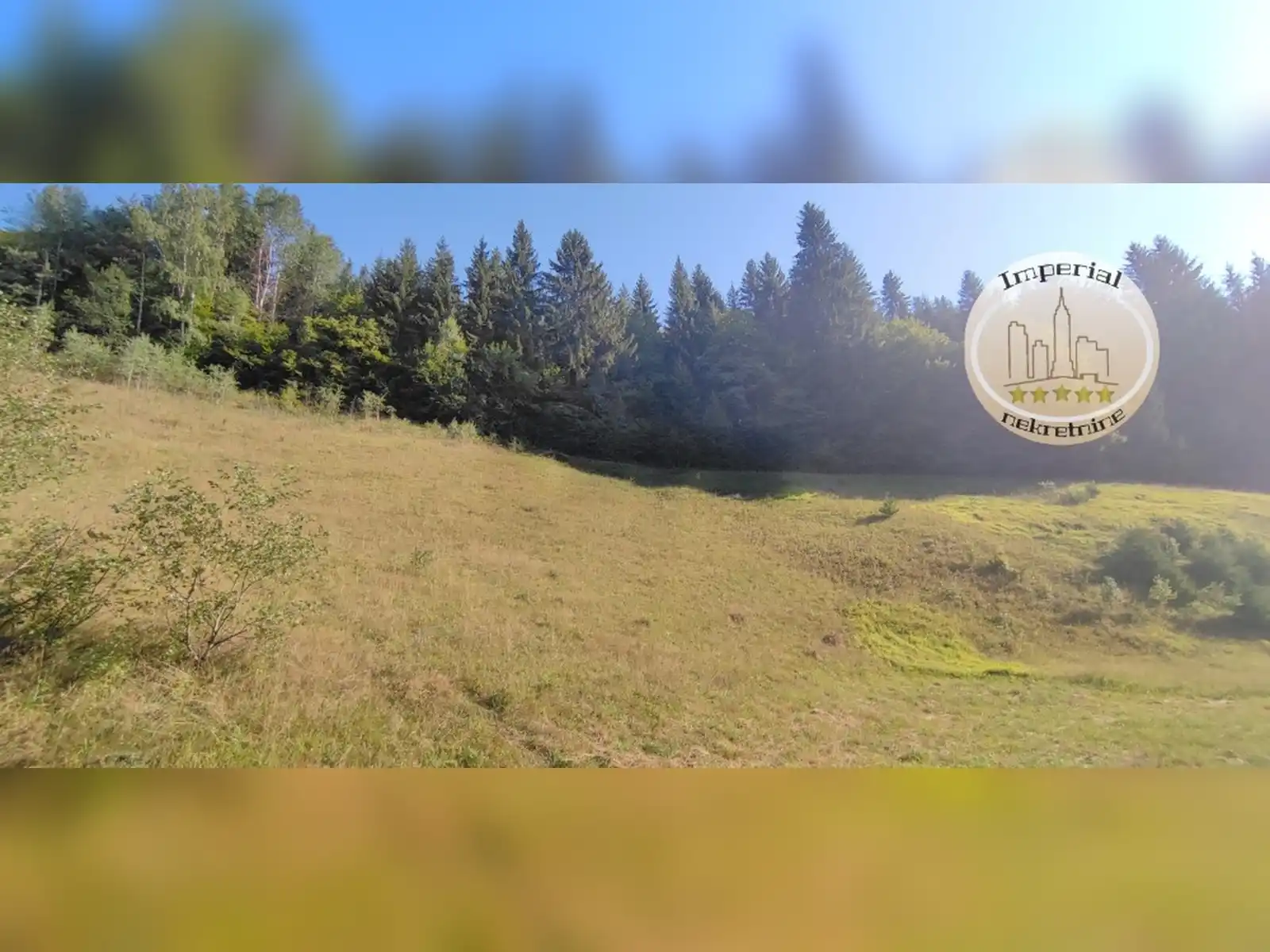 zemljiste-pale-rogousici-10525m2-blizina-reg-puta-sa-bg