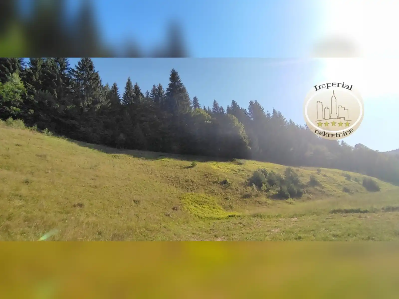 zemljiste-pale-rogousici-10525m2-blizina-reg-puta-sa-bg