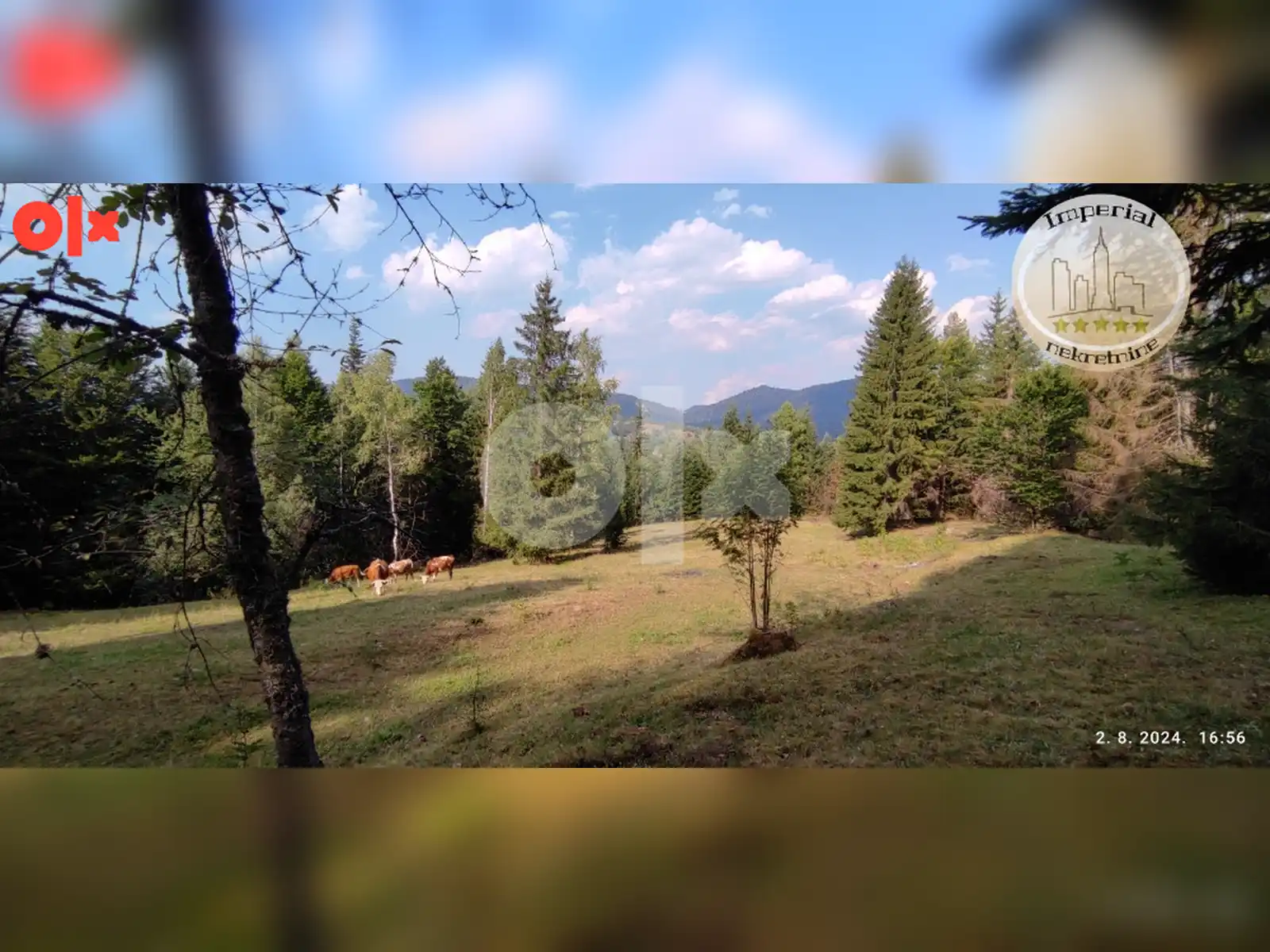 zemljiste-pale-mokro-kadino-selo-cca-5800m2
