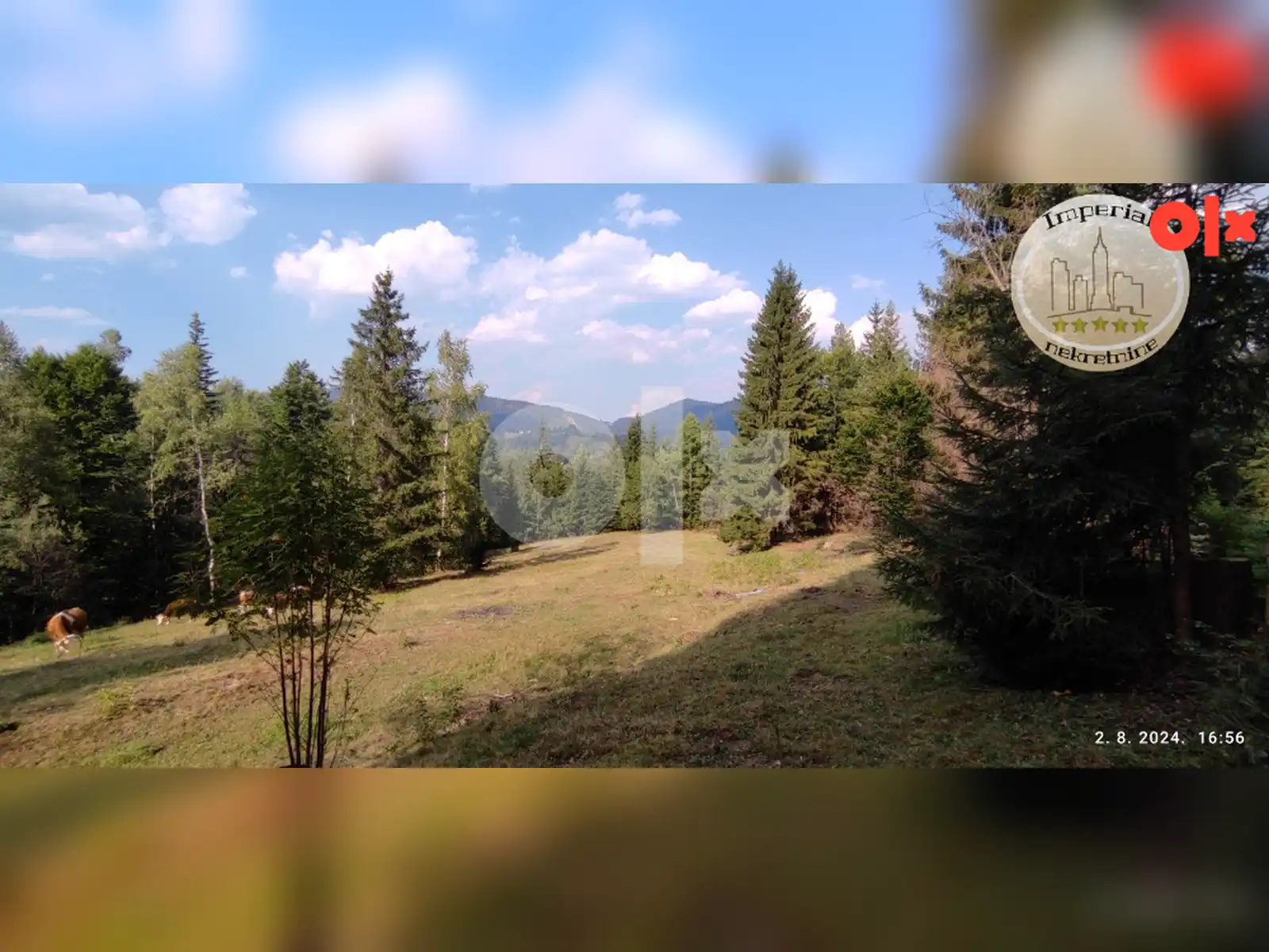 zemljiste-pale-mokro-kadino-selo-cca-5800m2