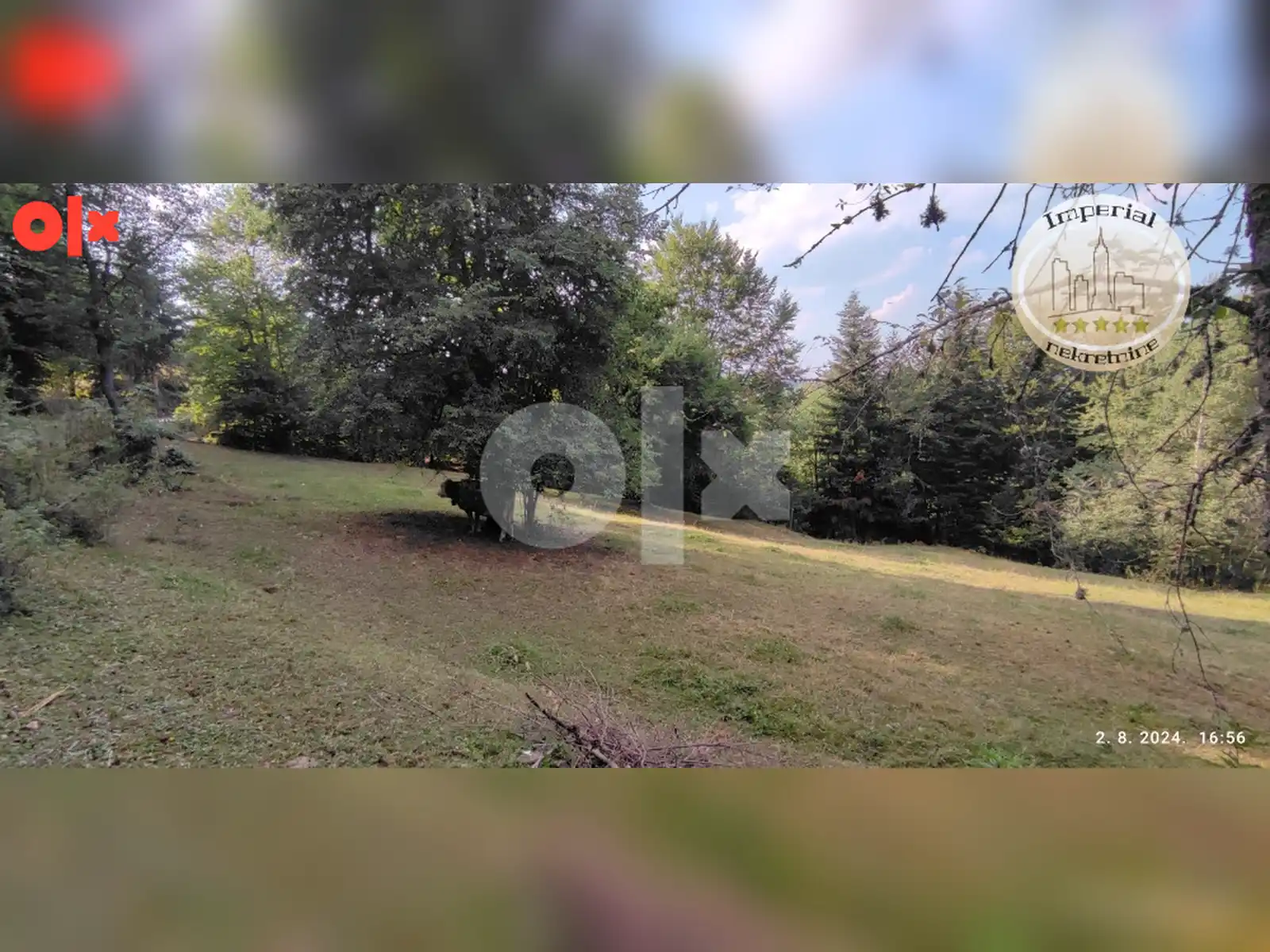 zemljiste-pale-mokro-kadino-selo-cca-5800m2