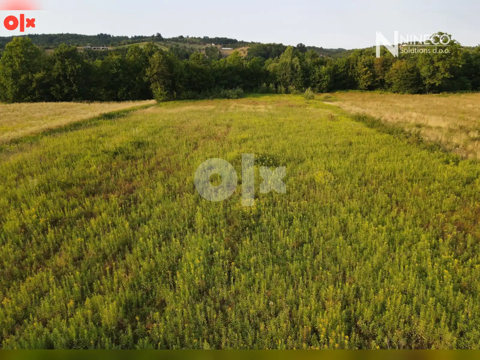 zemljiste-kadinjani-12578-m2-opstina-laktasi