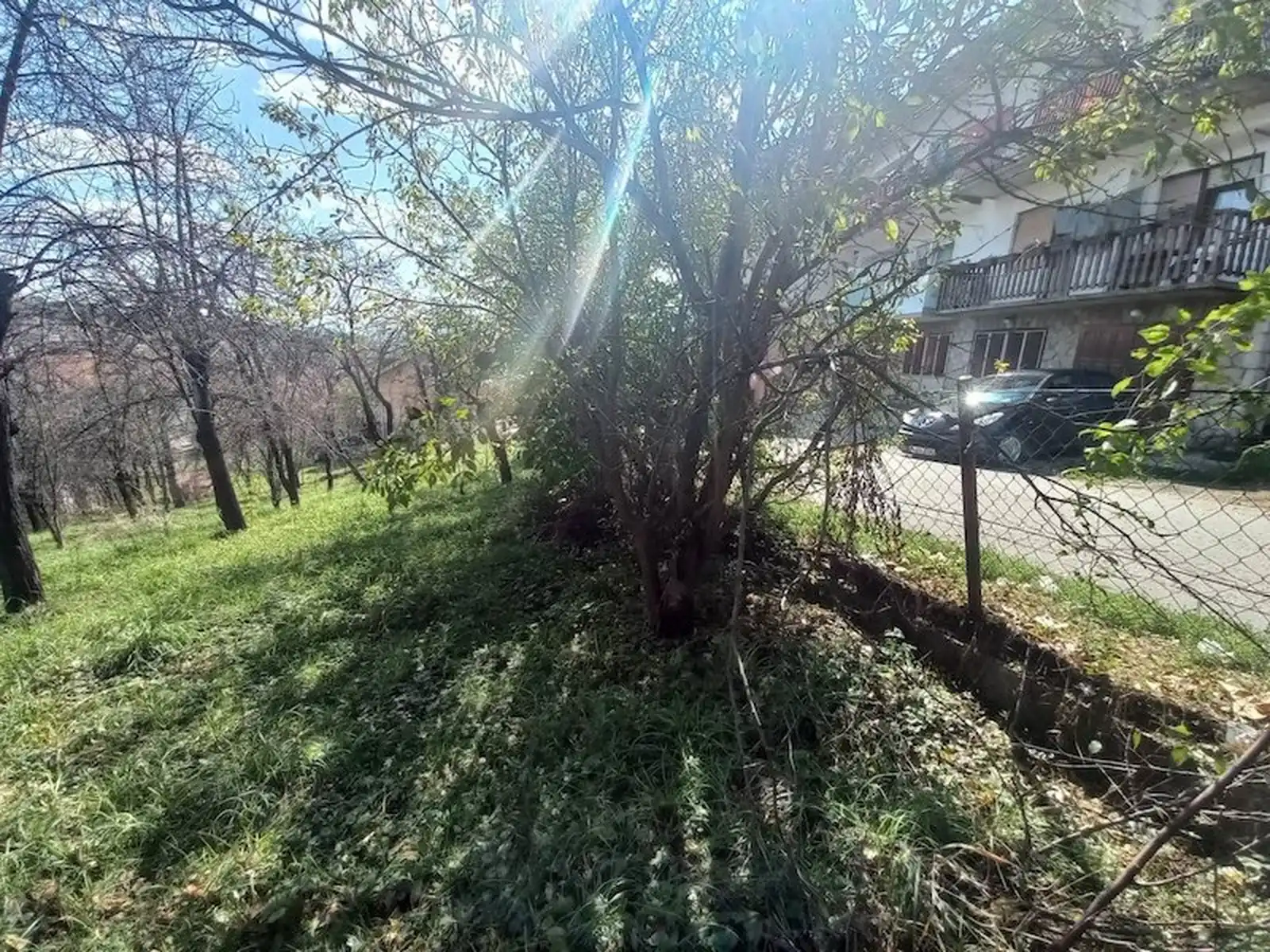 prodaja-kuca-na-glavnoj-ulici-na-lausu