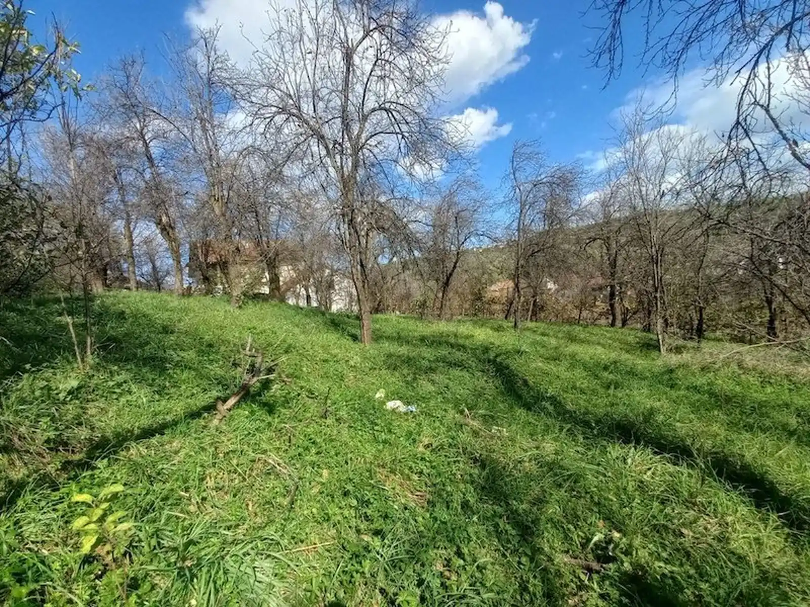 prodaja-kuca-na-glavnoj-ulici-na-lausu