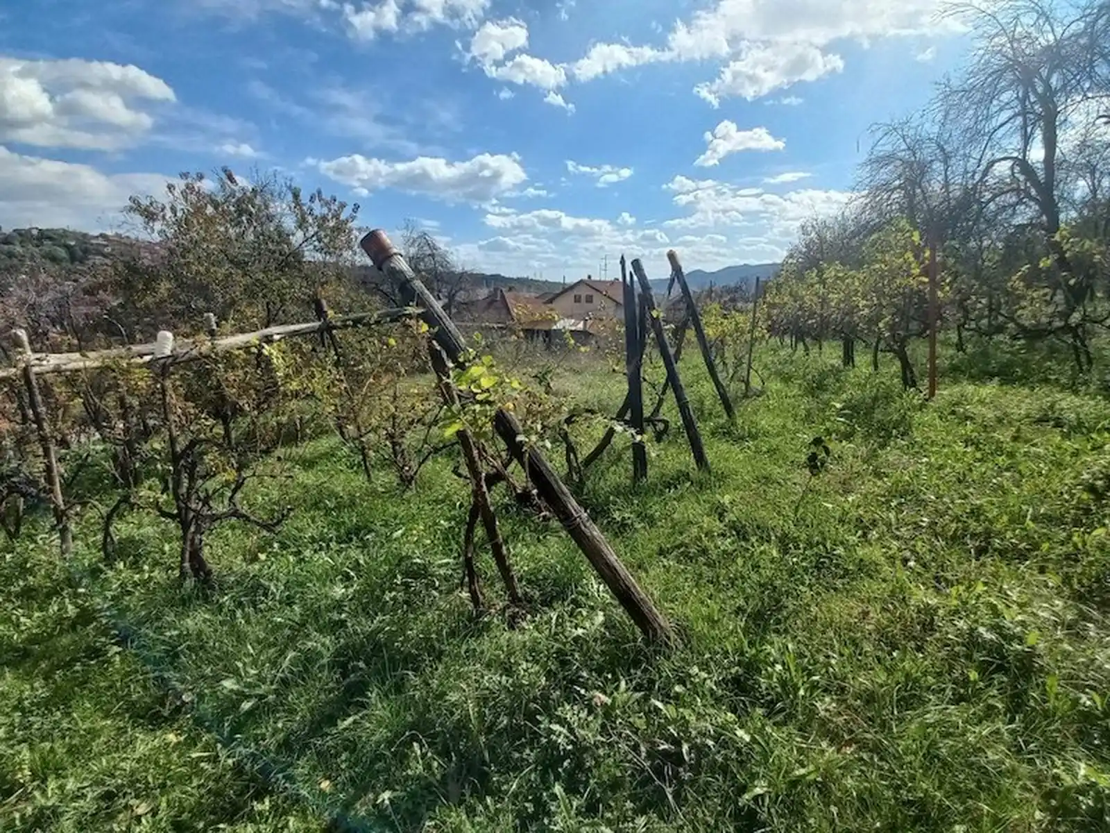 prodaja-kuca-na-glavnoj-ulici-na-lausu
