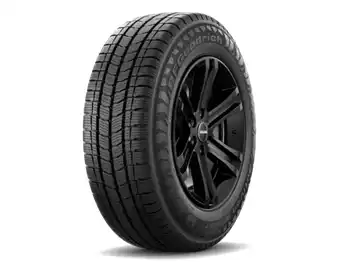 195/70 R 15C ACTIVAN WINTER 2 104/102R M+S BFG