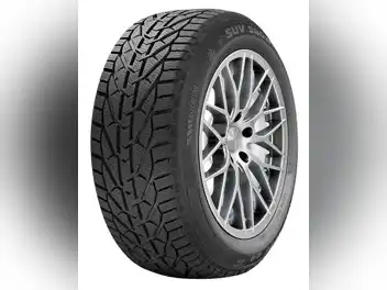205/60 R 17 RIKEN SNOW 93H RIKEN