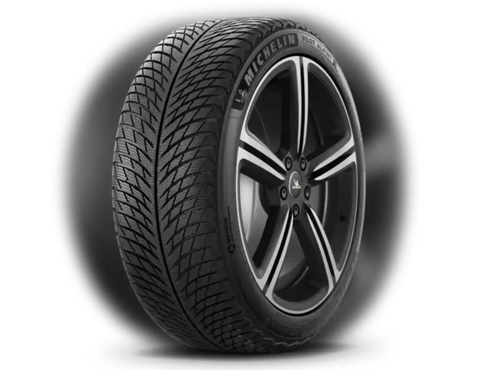 28545-r-21-pilot-alpin-5-suv-113v-xl-michelin