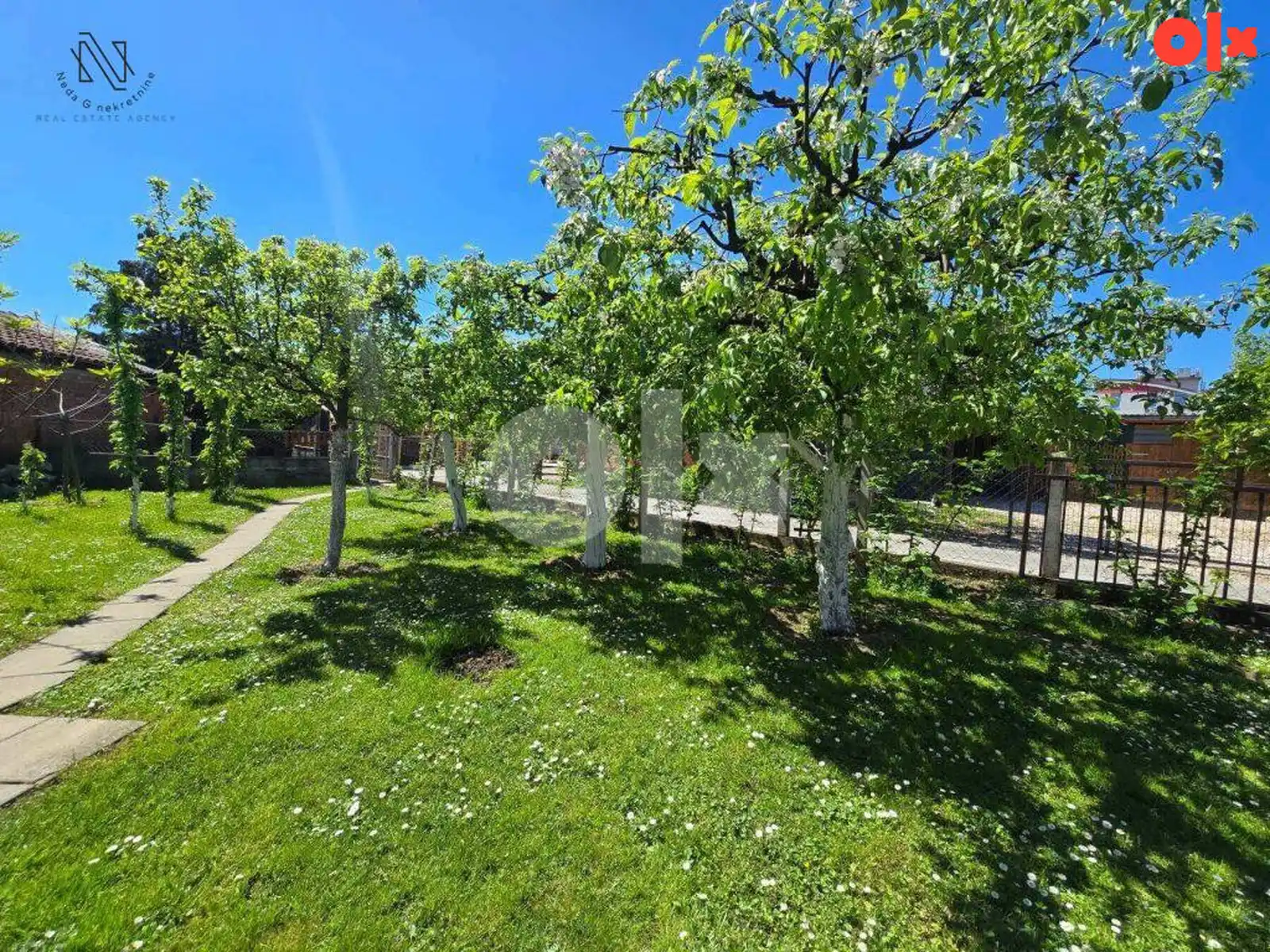budzak-dvije-kuce-na-placu-od-1100m2-top-ponuda
