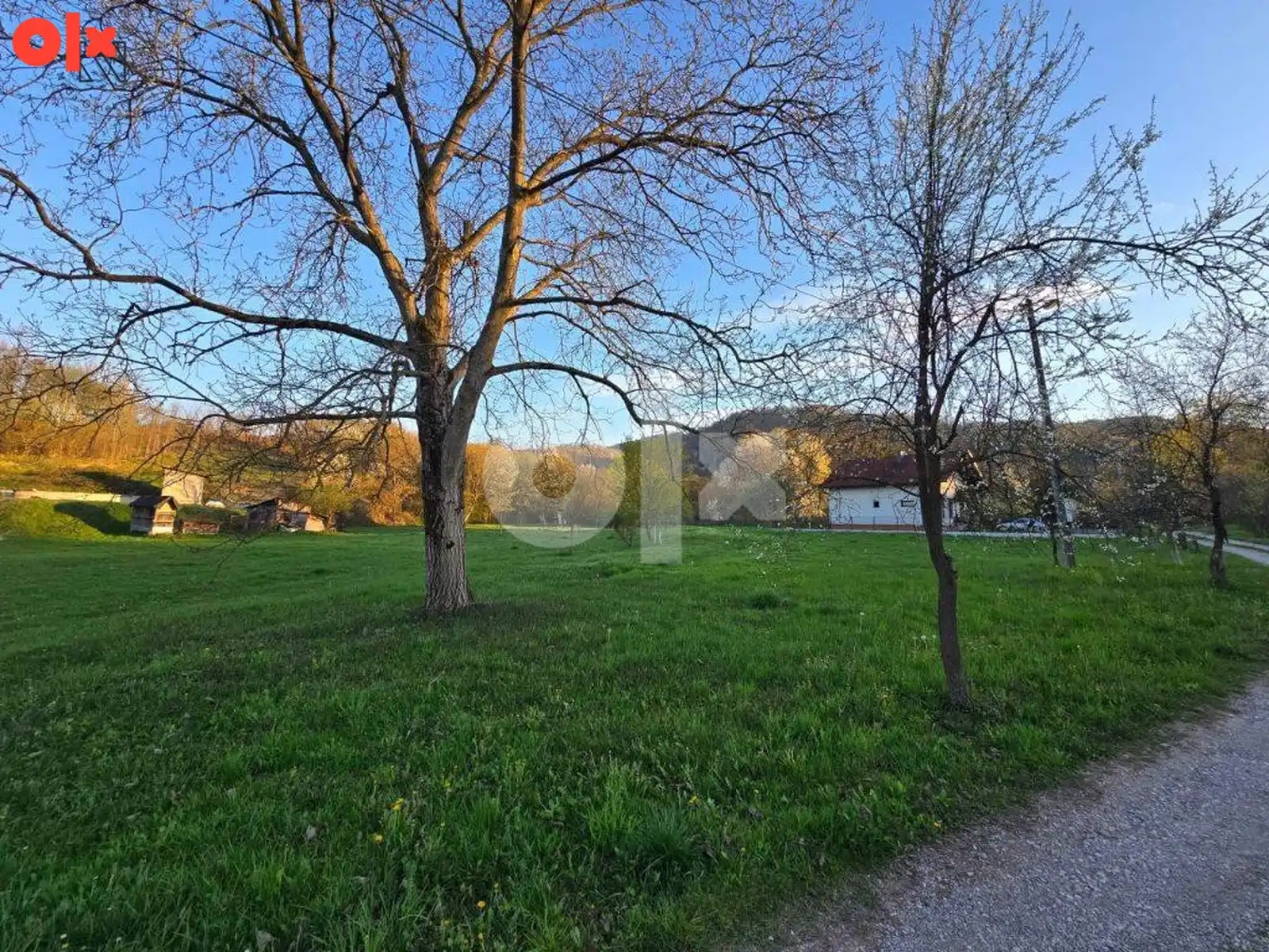 rebrovac-ada-plac-od-2150m2-za-kucuvikendicu