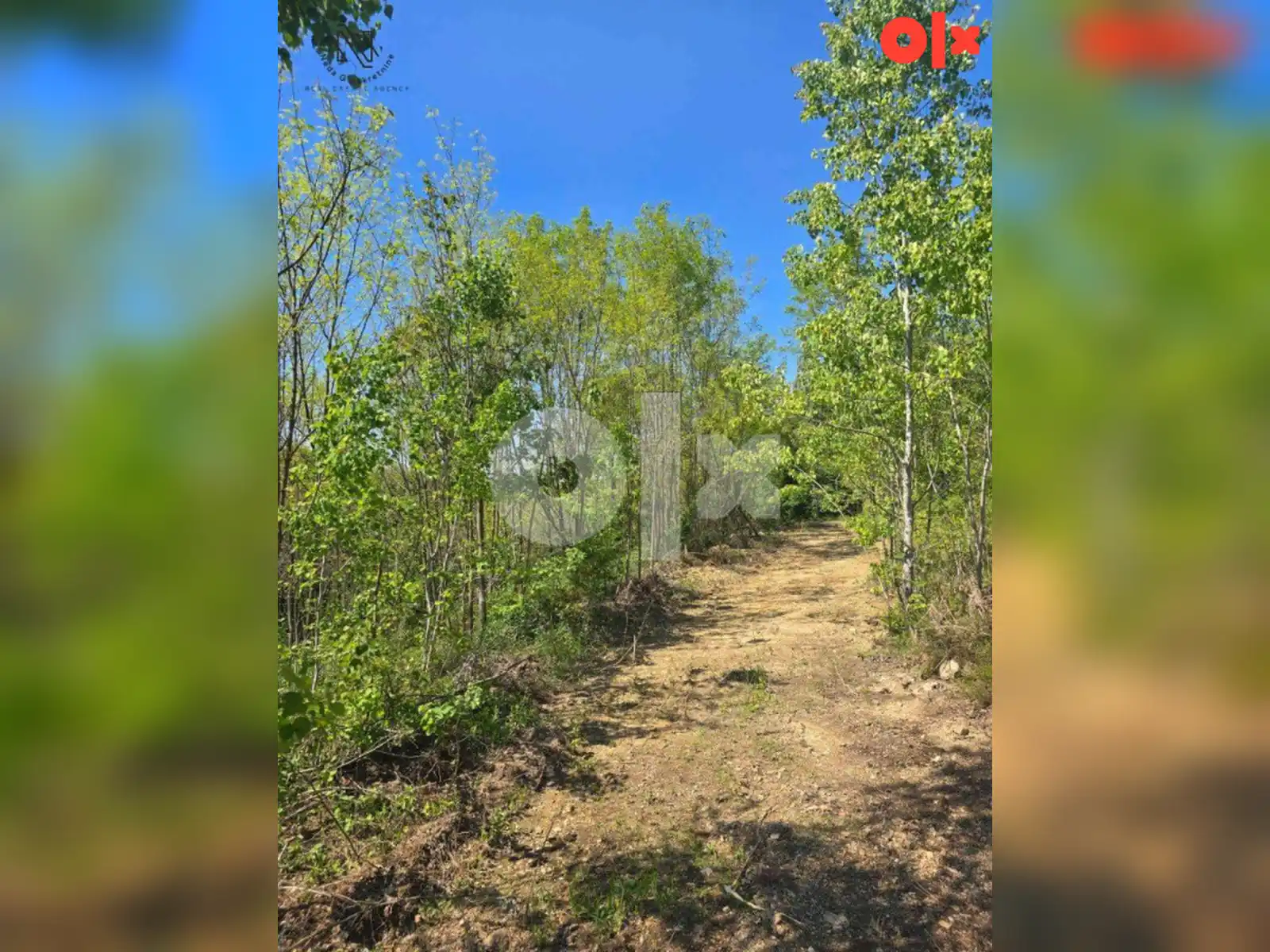 barlovci-bukovica-placevi-ukupne-povr15516m2