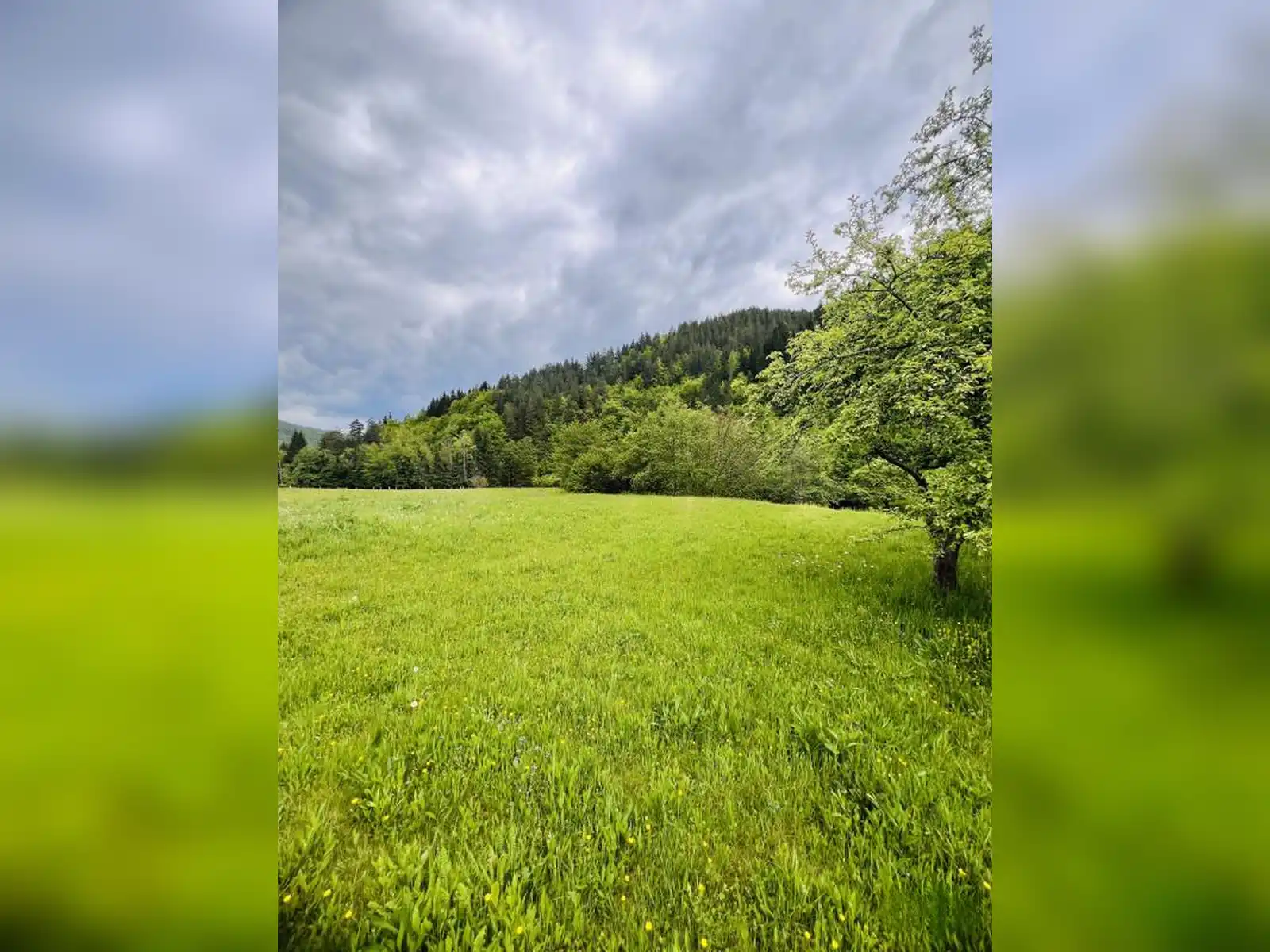 zemljiste-i-kuca-podgrab-vrhpraca-8170m2