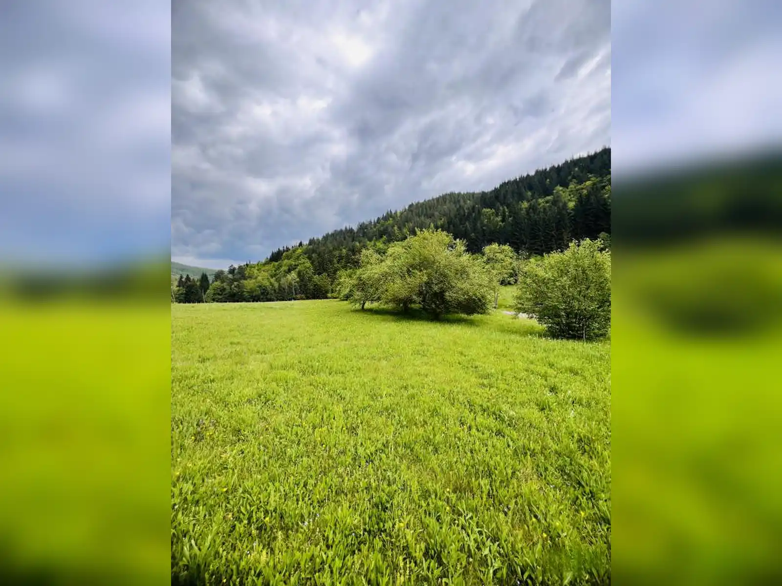 zemljiste-i-kuca-podgrab-vrhpraca-8170m2