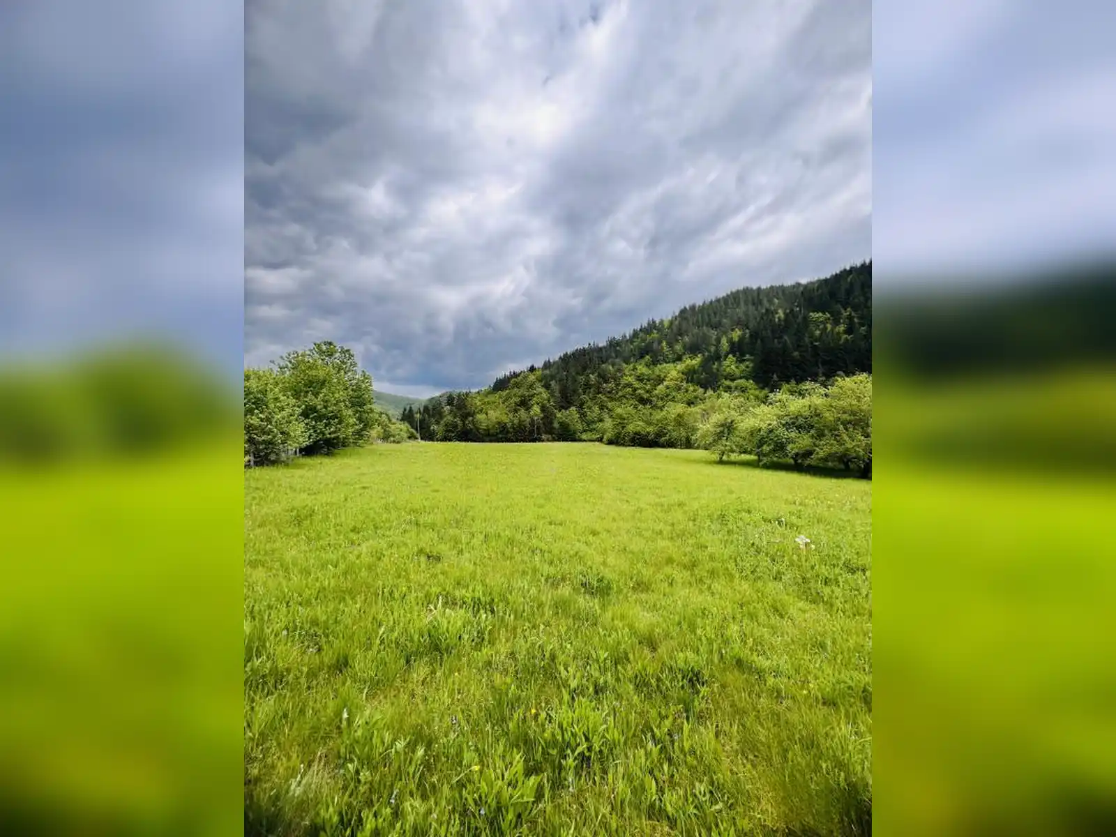 zemljiste-i-kuca-podgrab-vrhpraca-8170m2