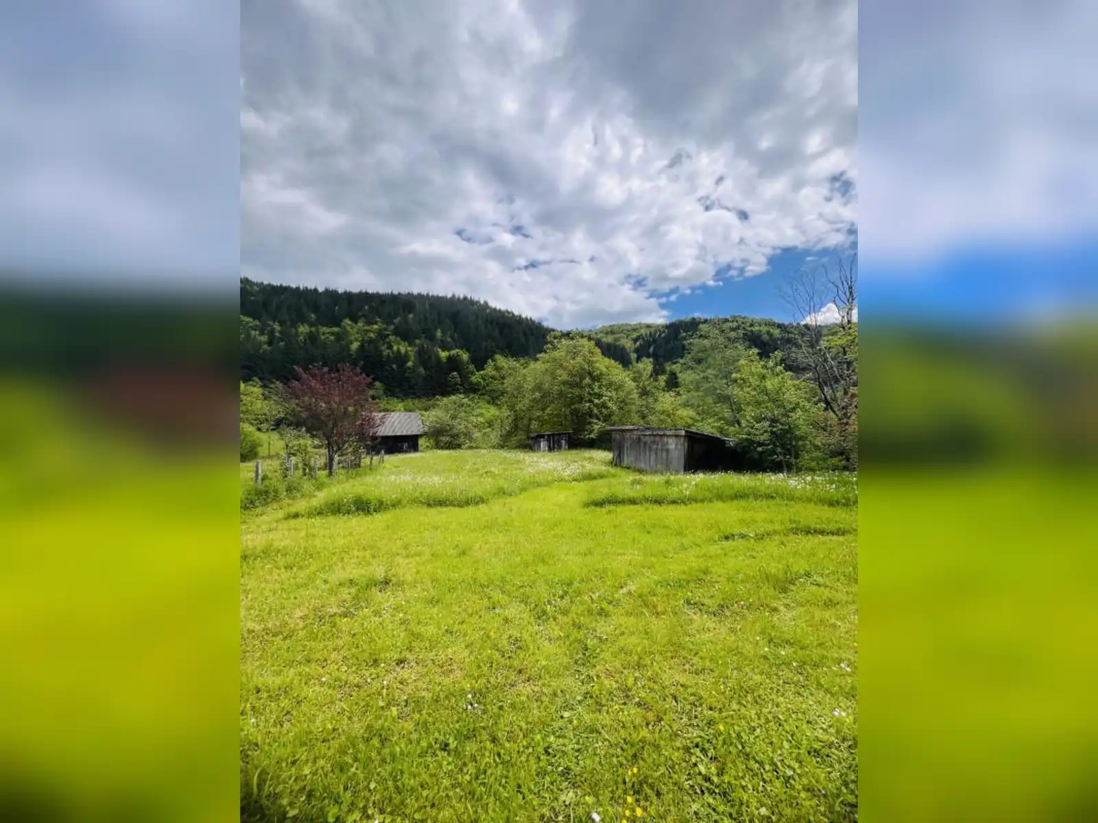 zemljiste-i-kuca-podgrab-vrhpraca-8170m2
