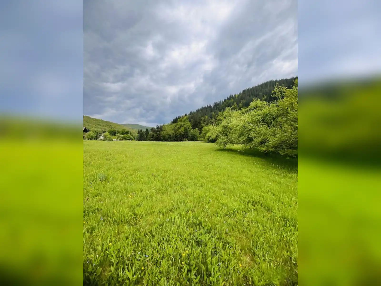 zemljiste-i-kuca-podgrab-vrhpraca-8170m2
