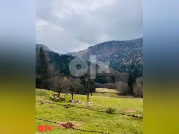 Zemljište Radonjići Pale 15717m2