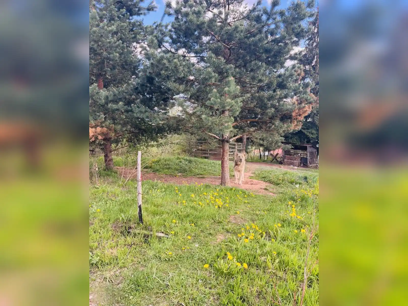 zemljiste-brezovice-pale-775m2