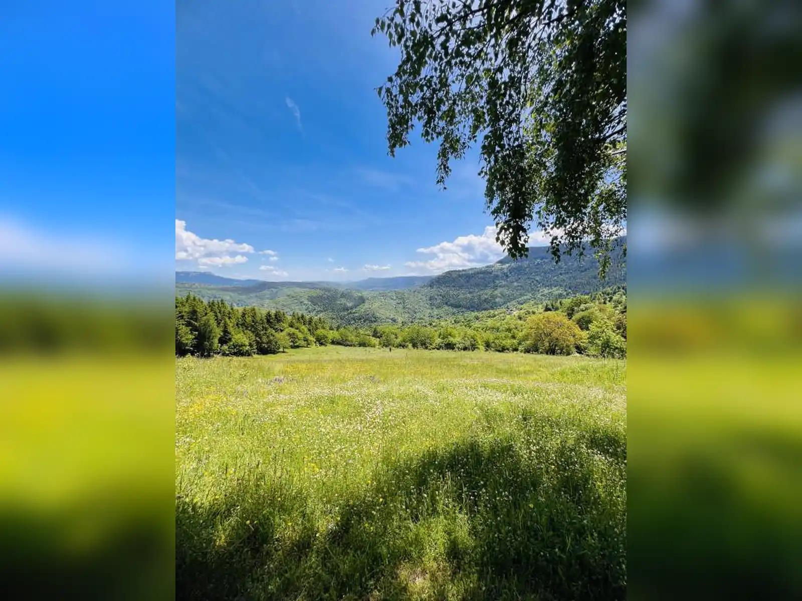 zemljiste-trebevic-brus-5000m2