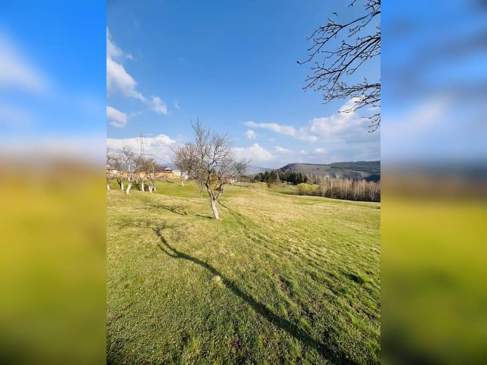 zemljiste-brezovice-pale-24000m2
