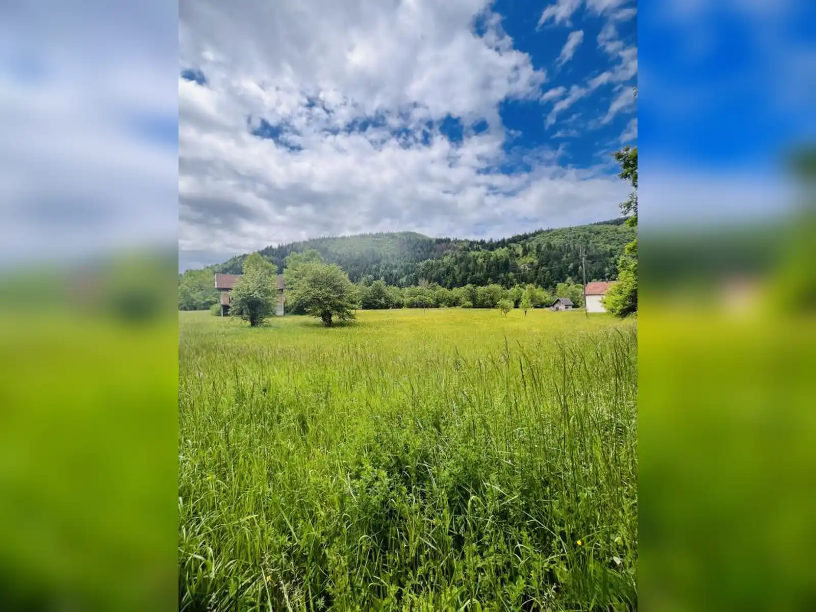 zemljiste-kuca-ljubogosta-pale-4831m2