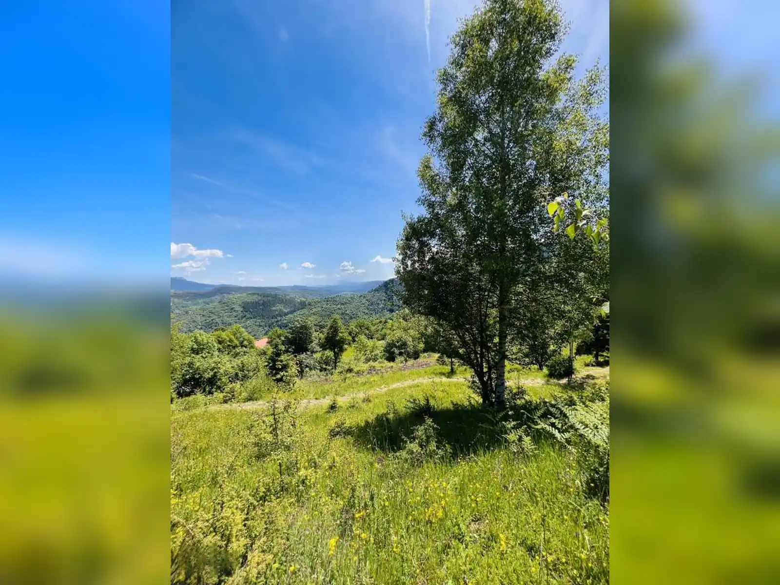 zemljiste-dovlici-trebevic-2000m2