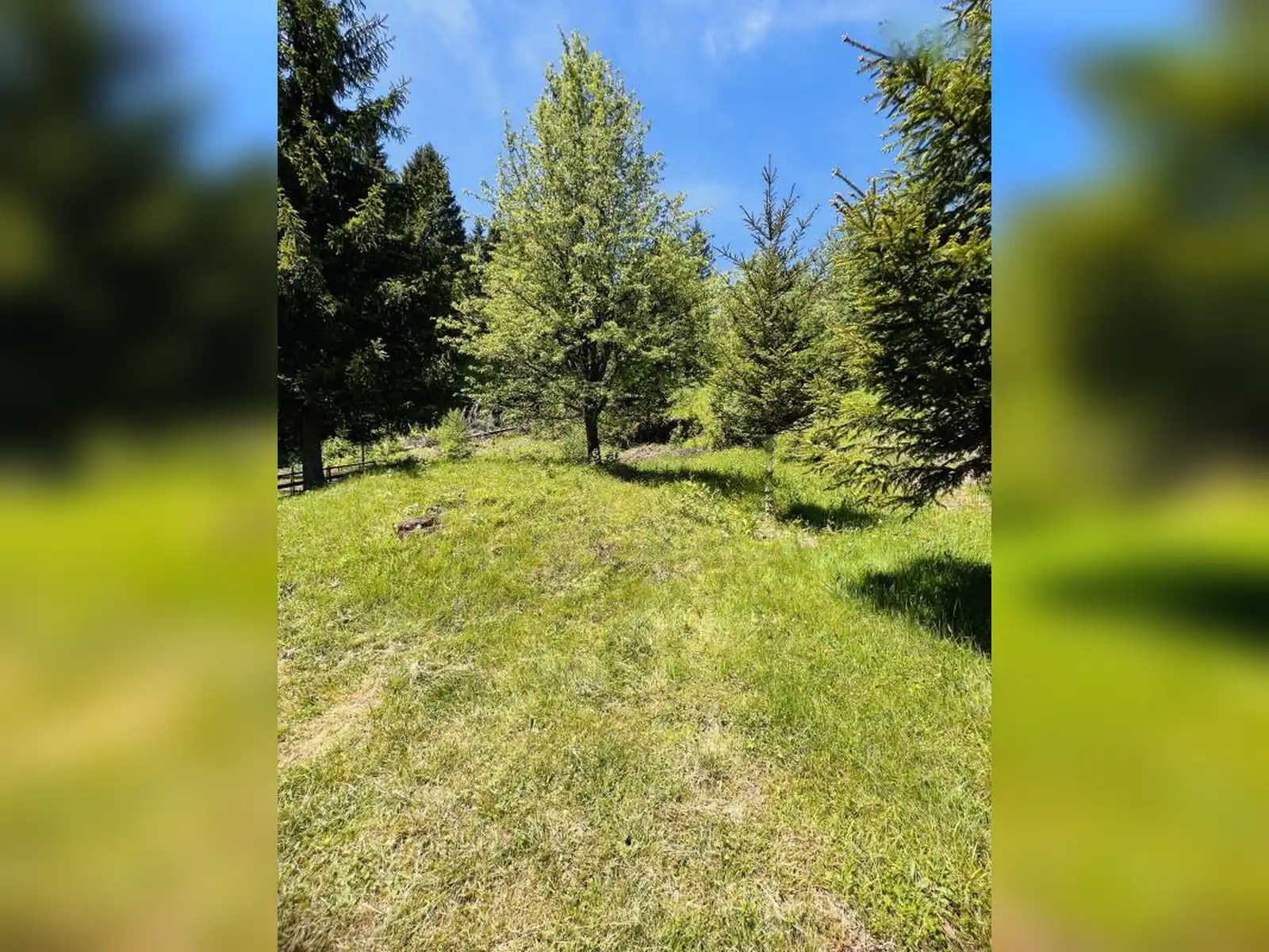 zemljiste-dovlici-trebevic-2000m2