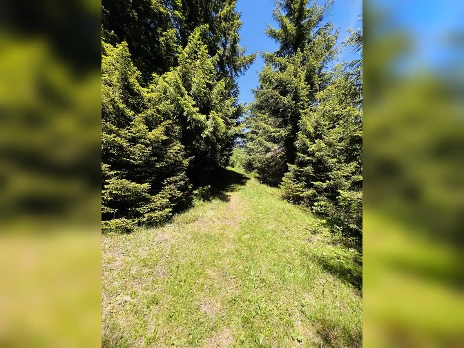 zemljiste-dovlici-trebevic-2000m2