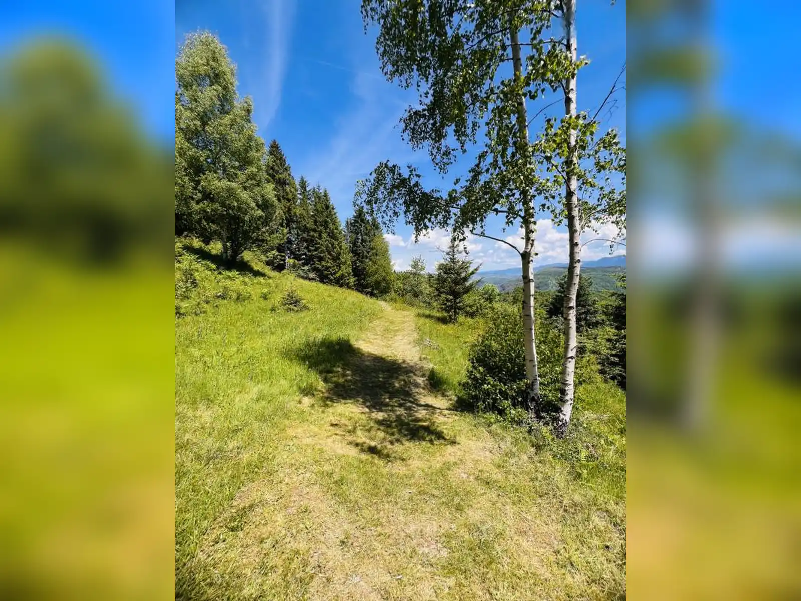 zemljiste-dovlici-trebevic-2000m2