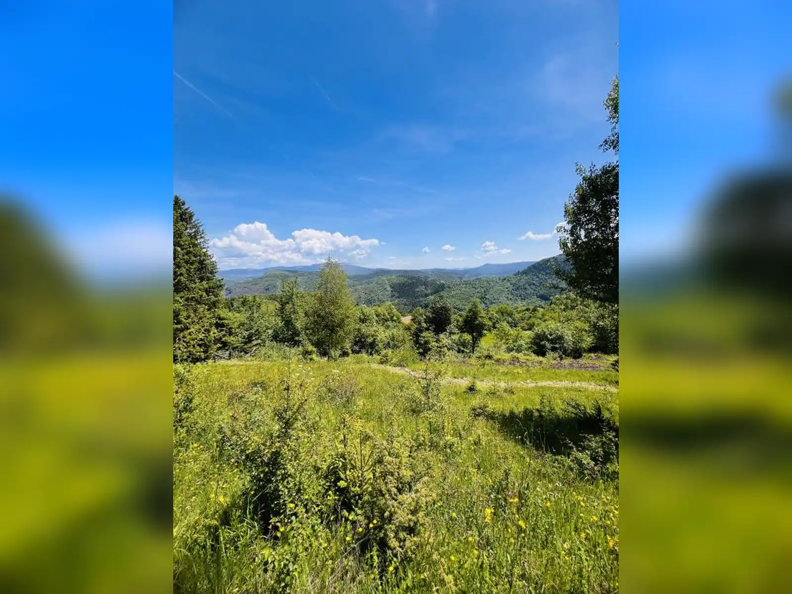 zemljiste-dovlici-trebevic-2000m2