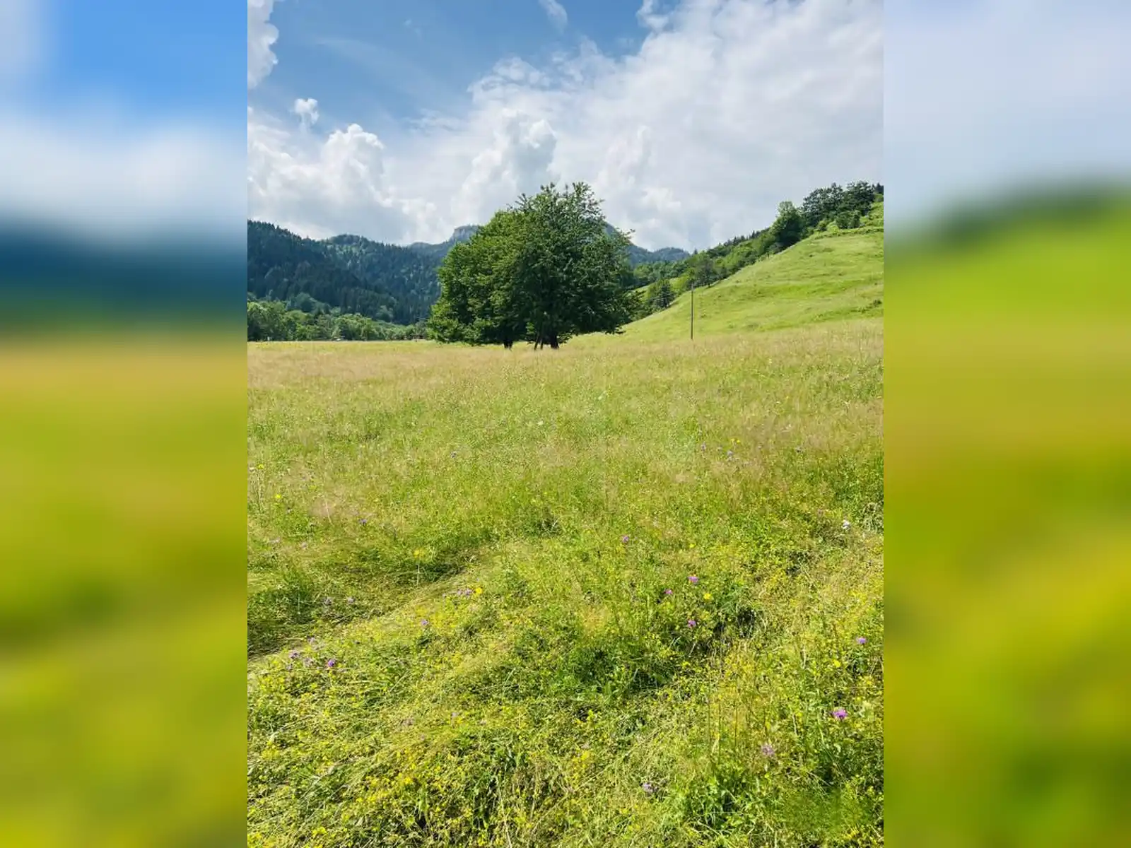 zemljiste-vrhpraca-pale-5000m2
