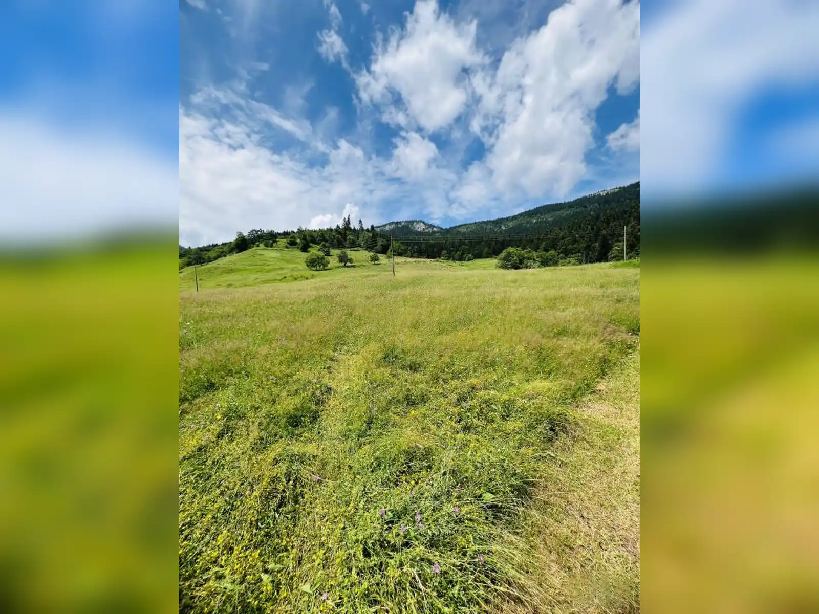 zemljiste-vrhpraca-pale-5000m2