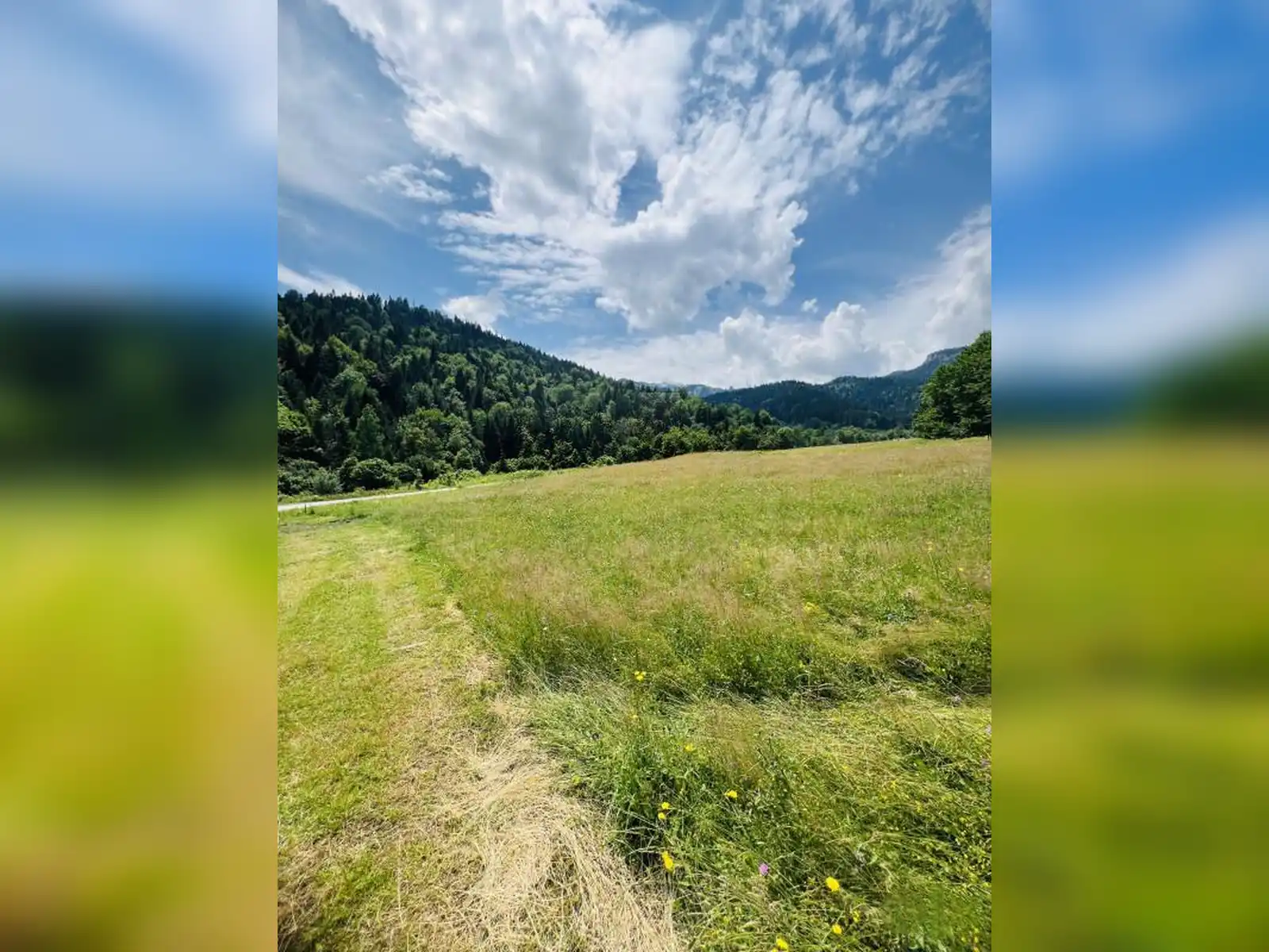 zemljiste-vrhpraca-pale-5000m2