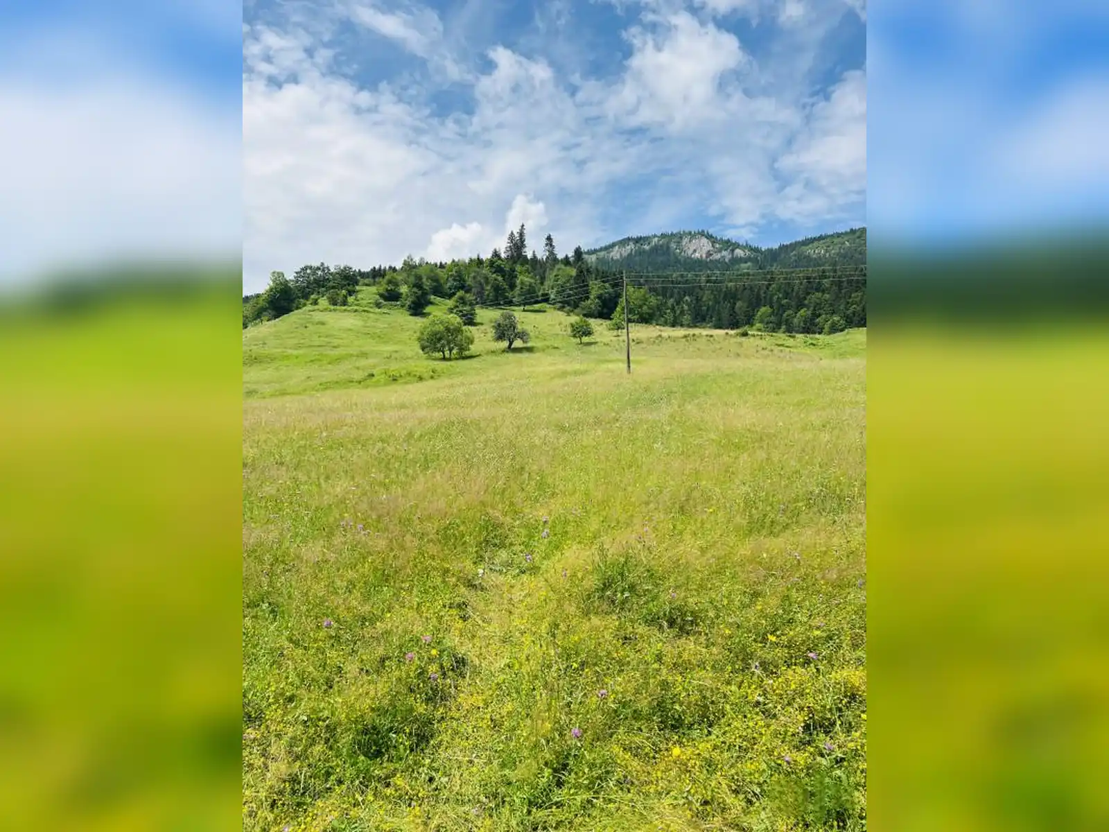 zemljiste-vrhpraca-pale-5000m2