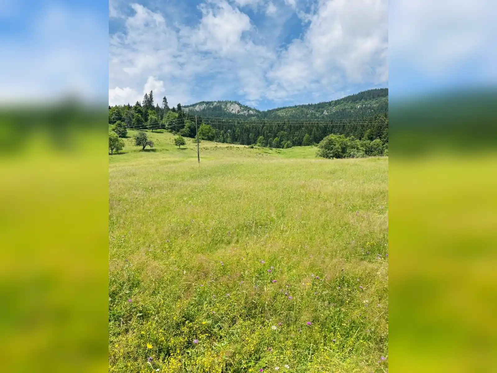 zemljiste-vrhpraca-pale-5000m2